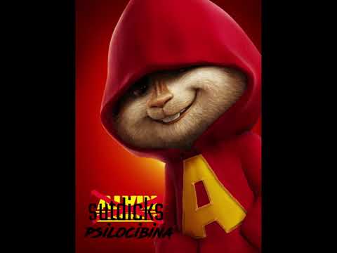 LEALTAD - JAIRO VERA FT. ALVIN Y LAS ARDILLAS