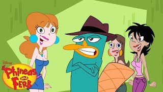 Agent P Theme Song 🎶 | Phineas and Ferb | Disney XD