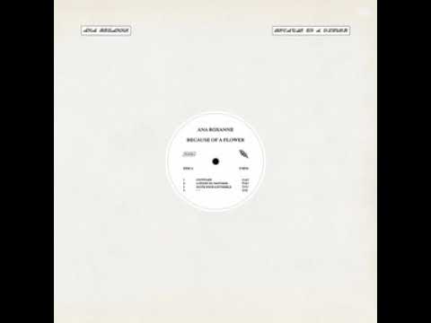 Ana Roxanne - Because of a Flower (Full Album)