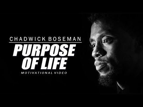 Purpose Of Life - Chadwick Boseman Motivational Speech | RIP | The Monday Motivations