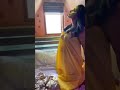 Hot Sexy Girl Viral Whatsapp Status Instagram Reels Video Shorts