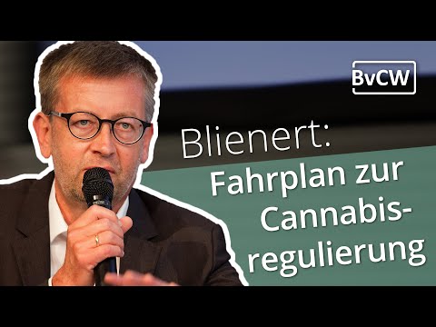 Cannabis: Gesetzentwurf 2023 - Statements von Burkhard Blienert (SPD)