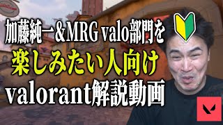 加藤純一と学ぶ「VALORANT」解説動画【2026/08/24】