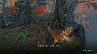 SEKIRO