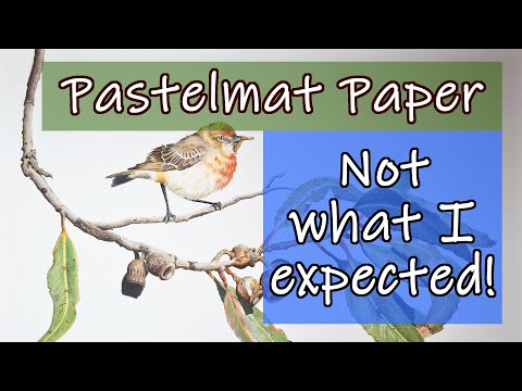 COLOURED PENCILS ON PASTELMAT - First impressions trying Clairefontaine Pastelmat - mini review