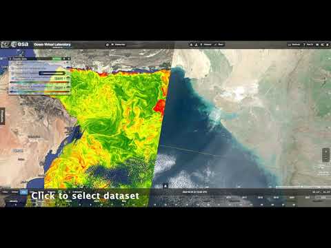 2nd YouTube video about how can water pollution be detected virtual lab
