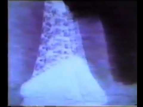 Boyd Rice and Frank Tovey ( aka Fad Gadget)    live industrial