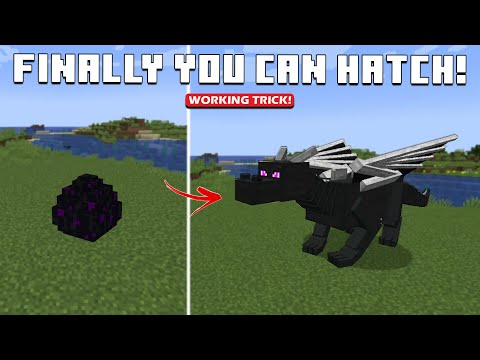 Come far schiudere l'UOVO DI DRAGO ENDER in Minecraft 1.21+ (Bedrock/PE/Java)