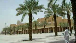 preview picture of video 'Riad 2009 / En la plaza principal'