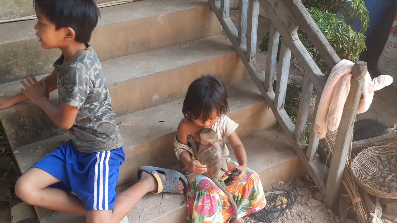 Monkey Apollo & Drew So Pity Baby Monkey