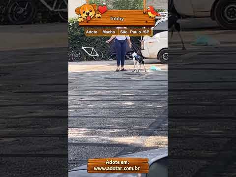 Vídeo de Tobby 