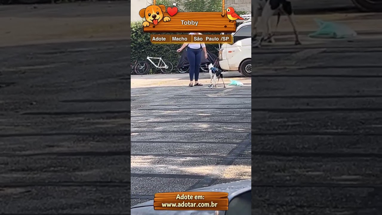 Cachorro raça SRD-ViraLata idade 1 ano nome Tobby 