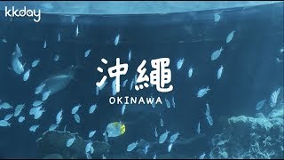 Download the video "【日本旅遊攻略】沖繩必去景點大集合！沖繩旅遊景點集錦⎜KKday"
