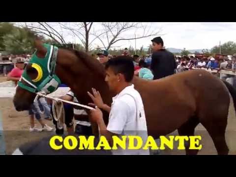 COMANDANTE-PISTA DON SOHAR-09/10/16