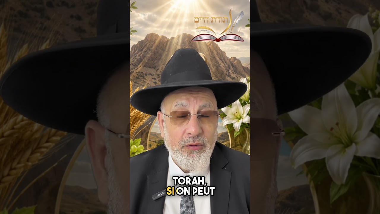 ✨ “Nous sommes sortis d’Égypte par le mérite des femmes” ✨