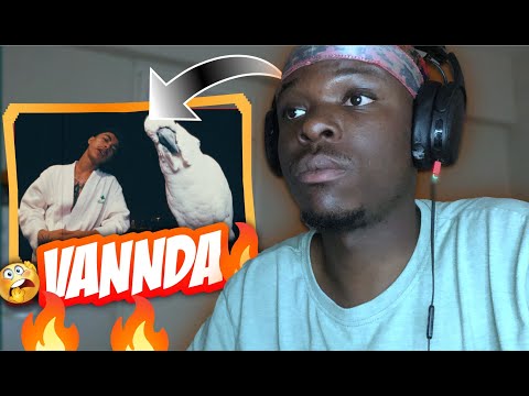 The Ambitious Journey of VANNDA: A Reaction to 4M Subs!!