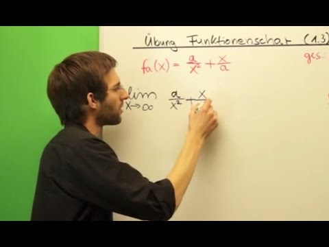 Kurvenschar / Funktionenschar 1.3 - Verhalten im Unendlichen