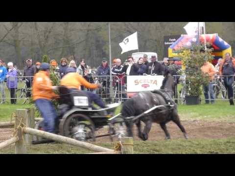 V  D  BROEK Wilbrord, NED, CAI3 & CAN Horst NED 16 04 16, HorseSingle,Marathon Ob5