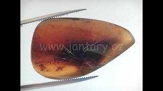 Druhohorní jantar z Myanmaru BJ-4