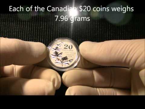 2011 $20 Silver Coin Canadian Mint [SilverCoinsShow]