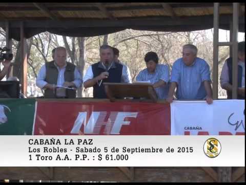 05-09-15 Venta de Toros P.P.- Cabaña La Paz - Los Robles.