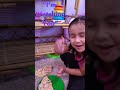 HOMESCHOOL Montessori Toys!!! | HOMESCHOOLING ACTIVITIES #shortsfeed #shorts #homeschool