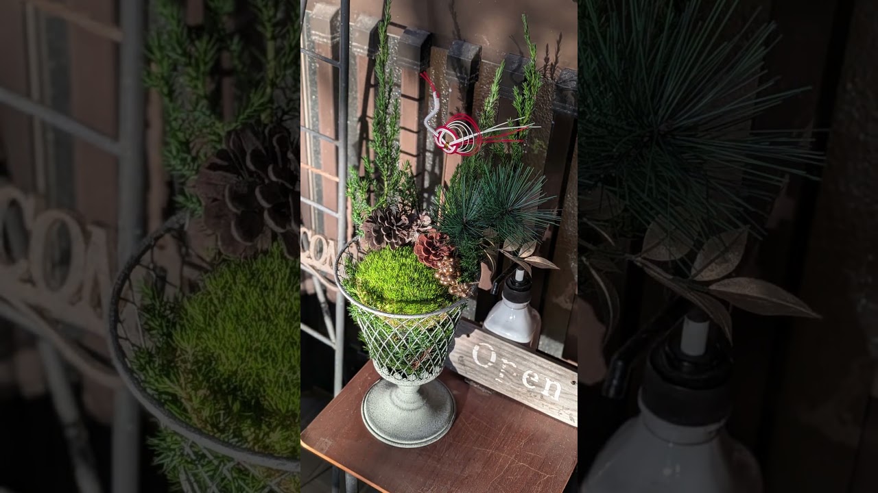 【2026waraneko garden】明けましておめでとうございます🎍✨