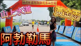 [心得] 2024山上水道阿勃勒花季馬拉松_我是艾將