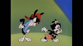 Animaniacs (1993) - The Senses Song (English)