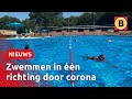 Afkoelen tijdens tropische hitte is anders dan normaal | Omroep Brabant