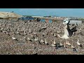 White Storks In Rubbish Dump Aerial