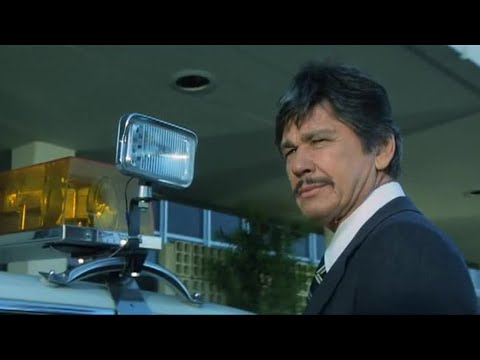 Amor e Balas - Charles Bronson - Dublado (1979)