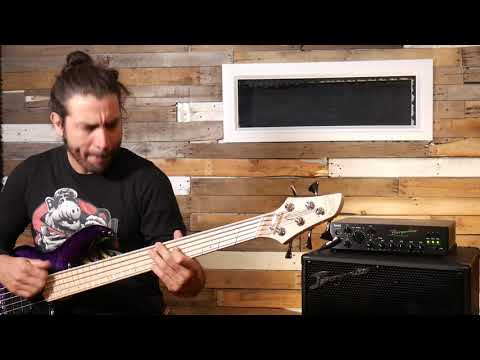 A Bergantino forté HP Demo bass strumming