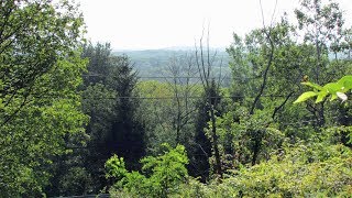 For Sale  1 private, secluded  natural acre  Athens, NY Greene County