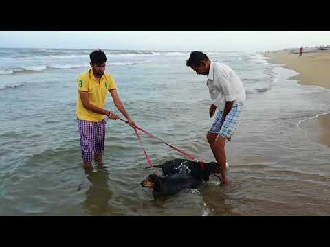 Jack and Jill bathing in beach