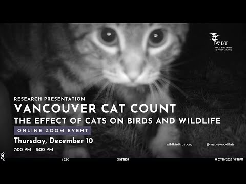 Vancouver Cat: The Effects of Cats on Birds and Wildlife