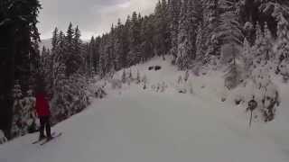 Download Lagu Bad Hofgastein Piste H7 Bergstation Schloßhochalmlift über über H31 Kasereben bis Angertal Thumbnail
