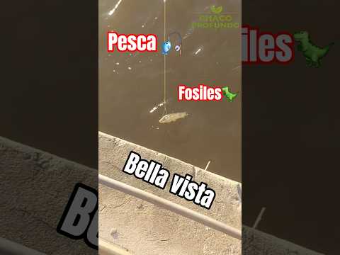 Pesca y fósiles en Corrientes #pesca #fosiles #bellavista