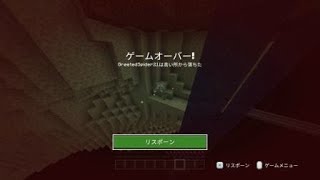 Minecraft_20240516011059