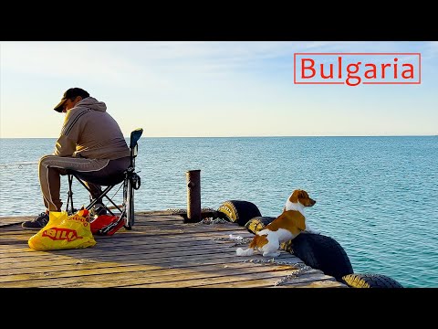 BULGARIA. Black Sea in The Early Morning. Relaxing Walk on The Sunny Beach