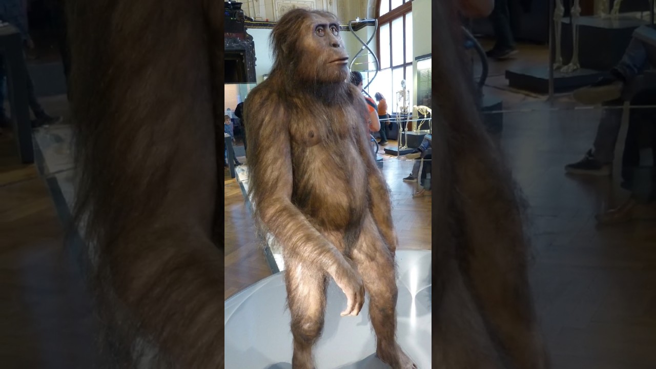 Lucy - Who Found It #lucy #history