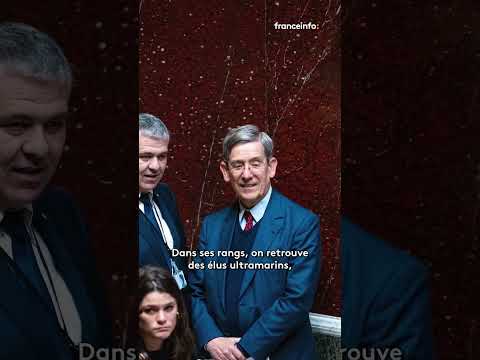 Qui est le groupe Liot, dont la motion de censure inquiète le gouvernement