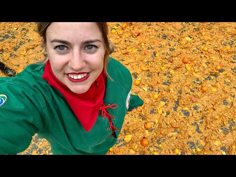Vado allo Storico Carnevale d’Ivrea e vi porto con me! 💚🍊❤️