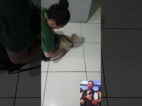 #enchente #riograndedosul #solidariedade maior enchente foi no ano 2024