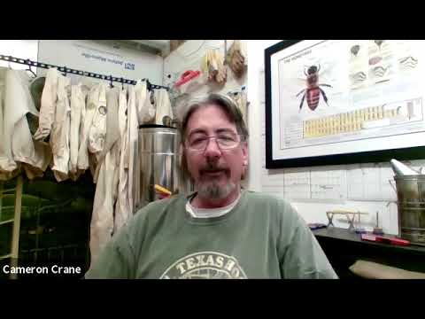 Cameron Crane   How much honey syrup for overwintering