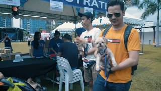 Nexgard Spectra's Pets Date Night SDE