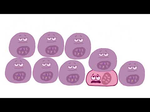 IDH Mutations in Cancer