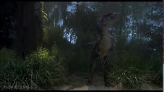 Jurassic Park 3 Raptor Captions