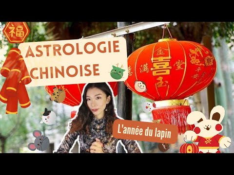 L'année du lapin ? ( Nouvel an Chinois )  Connaître l'astrologie chinoise et son histoire !