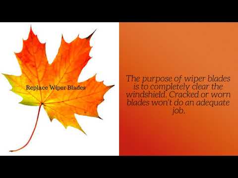 Lot 99 LLC - Fall Car Care Tips